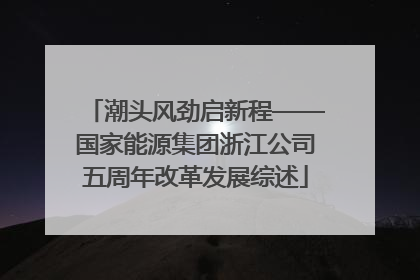 潮头风劲启新程——国家能源集团浙江公司五周年改革发展综述
