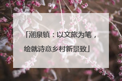 潮泉镇：以文旅为笔，绘就诗意乡村新景致