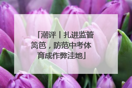 潮评丨扎进监管篱笆，防范中考体育成作弊洼地