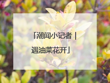 潮闻小记者｜遇油菜花开