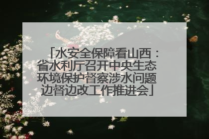 水安全保障看山西：省水利厅召开中央生态环境保护督察涉水问题边督边改工作推进会