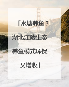 水塘养鱼？湖北江陵生态养鱼模式环保又增收