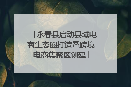 永春县启动县域电商生态圈打造暨跨境电商集聚区创建
