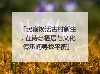 民宿焕活古村新生，在诗意栖居与文化传承间寻找平衡