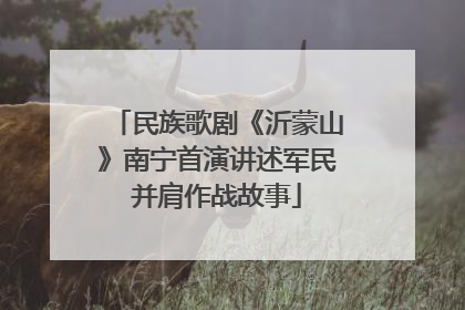 民族歌剧《沂蒙山》南宁首演讲述军民并肩作战故事