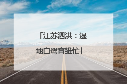 江苏泗洪：湿地白鹭育雏忙