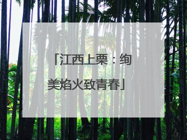 江西上栗：绚美焰火致青春