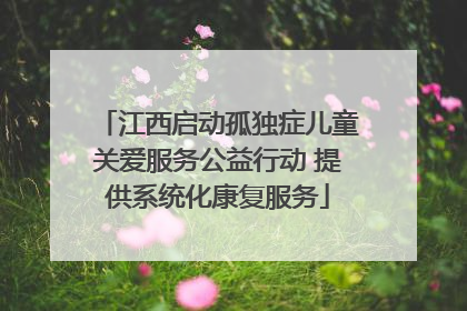 江西启动孤独症儿童关爱服务公益行动 提供系统化康复服务