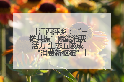 江西萍乡：“三链共振”赋能消费活力 生态五陂成“消费新枢纽”