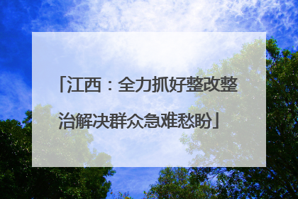 江西：全力抓好整改整治解决群众急难愁盼