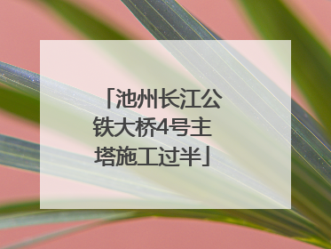池州长江公铁大桥4号主塔施工过半