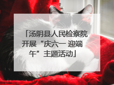 汤阴县人民检察院开展“庆六一 迎端午”主题活动