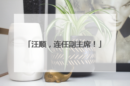 汪顺，连任副主席！