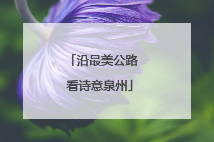 沿最美公路 看诗意泉州