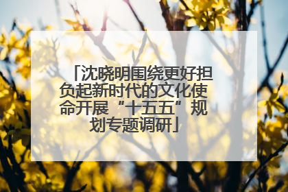 沈晓明围绕更好担负起新时代的文化使命开展“十五五”规划专题调研