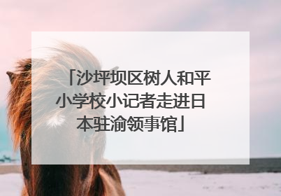 沙坪坝区树人和平小学校小记者走进日本驻渝领事馆