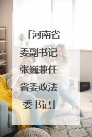 河南省委副书记张巍兼任省委政法委书记