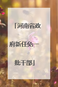 河南省政府新任免一批干部