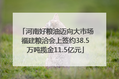 河南好粮油迈向大市场 福建粮洽会上签约38.5万吨揽金11.5亿元