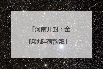 河南开封：金明池畔荷韵浓