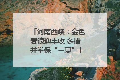 河南西峡：金色麦浪迎丰收 多措并举保“三夏”