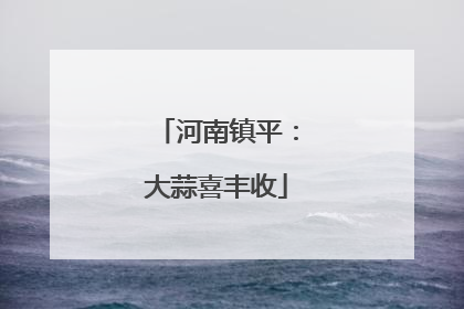 河南镇平：大蒜喜丰收