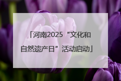 河南2025“文化和自然遗产日”活动启动