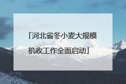 河北省冬小麦大规模机收工作全面启动