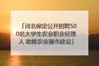 河北保定公开招聘500名大学生农业职业经理人 助推农业强市建设