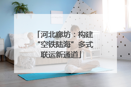 河北廊坊：构建“空铁陆海”多式联运新通道