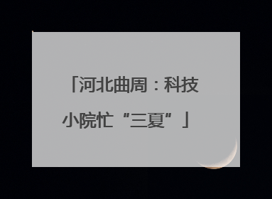河北曲周：科技小院忙“三夏”