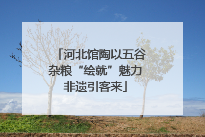河北馆陶以五谷杂粮“绘就”魅力非遗引客来