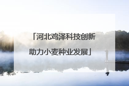 河北鸡泽科技创新助力小麦种业发展