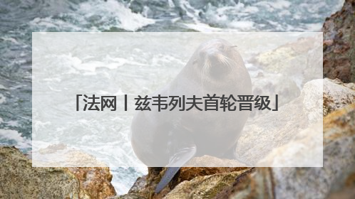 法网丨兹韦列夫首轮晋级