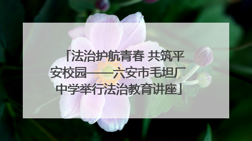 法治护航青春 共筑平安校园——六安市毛坦厂中学举行法治教育讲座