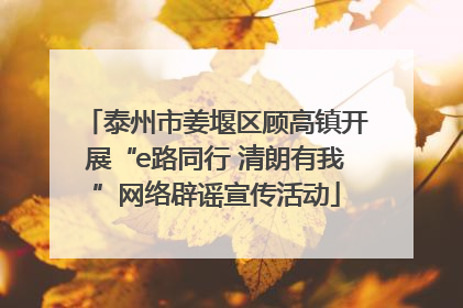 泰州市姜堰区顾高镇开展“e路同行 清朗有我”网络辟谣宣传活动