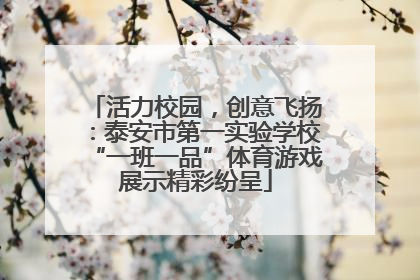 活力校园，创意飞扬：泰安市第一实验学校“一班一品”体育游戏展示精彩纷呈