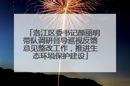洛江区委书记颜丽明带队调研督导巡视反馈意见整改工作，推进生态环境保护建设