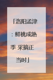 洛阳孟津：鲜桃成熟季 采摘正当时