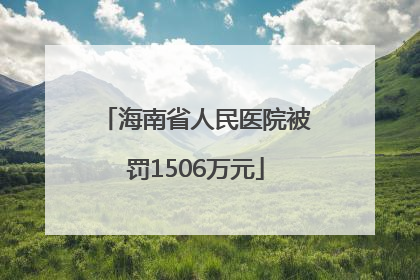 海南省人民医院被罚1506万元