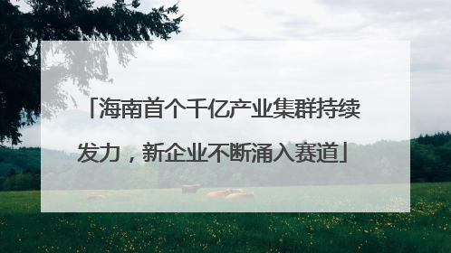 海南首个千亿产业集群持续发力，新企业不断涌入赛道
