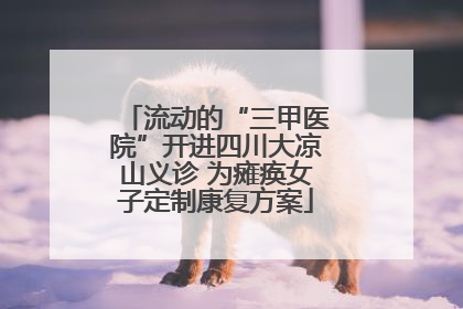 流动的“三甲医院”开进四川大凉山义诊 为瘫痪女子定制康复方案