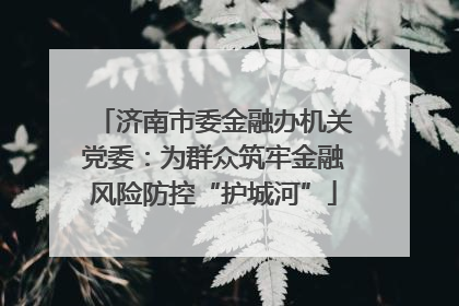 济南市委金融办机关党委：为群众筑牢金融风险防控“护城河”
