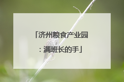 济州粮食产业园：满班长的手
