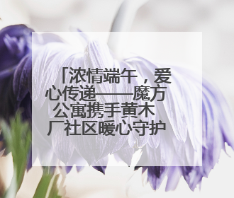 浓情端午，爱心传递——魔方公寓携手黄木 厂社区暖心守护城市蜂鸟