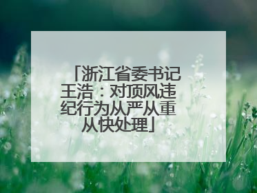 浙江省委书记王浩：对顶风违纪行为从严从重从快处理