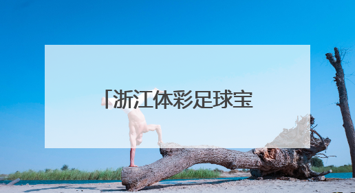 浙江体彩足球宝贝选拔燃动夏日 这所学校派出了超豪华阵容