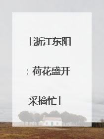 浙江东阳：荷花盛开采摘忙