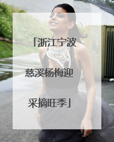 浙江宁波慈溪杨梅迎采摘旺季