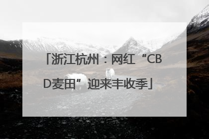 浙江杭州：网红“CBD麦田”迎来丰收季